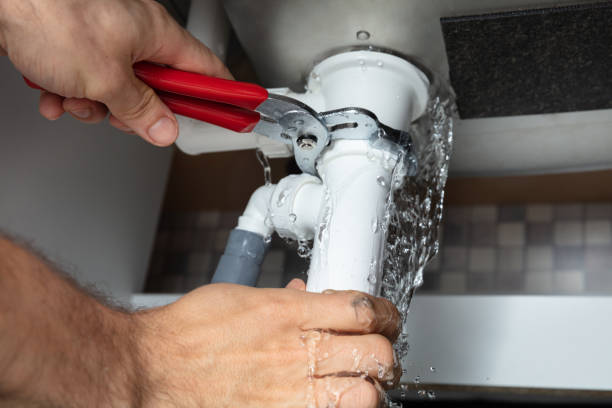 Best Professional water damage repair  in Griggsvle, IL