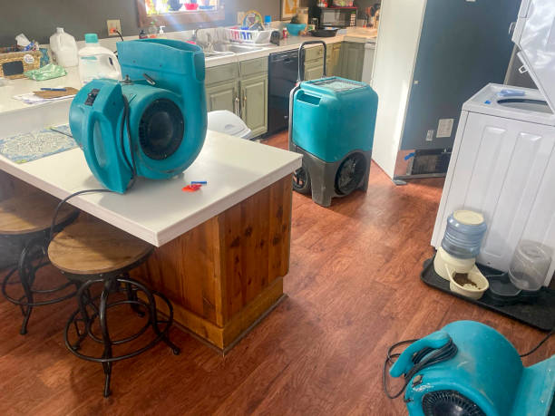 Best Ceiling water damage repair  in Griggsvle, IL