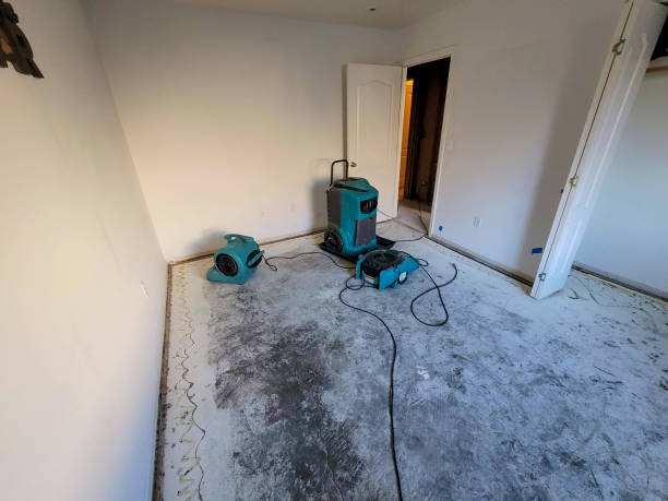 Best Residential water damage restoration  in Griggsvle, IL