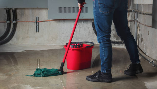  Griggsvle, IL Water damage restoration Pros