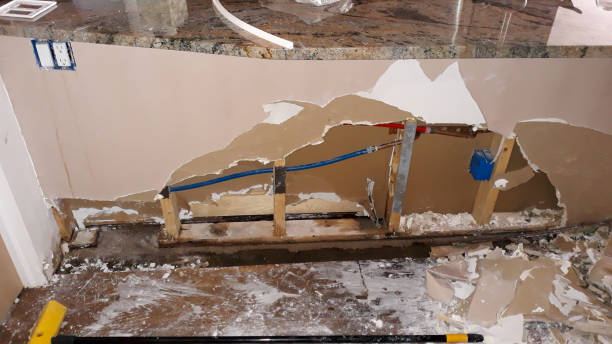 Best Water damage restoration mold remediation  in Griggsvle, IL