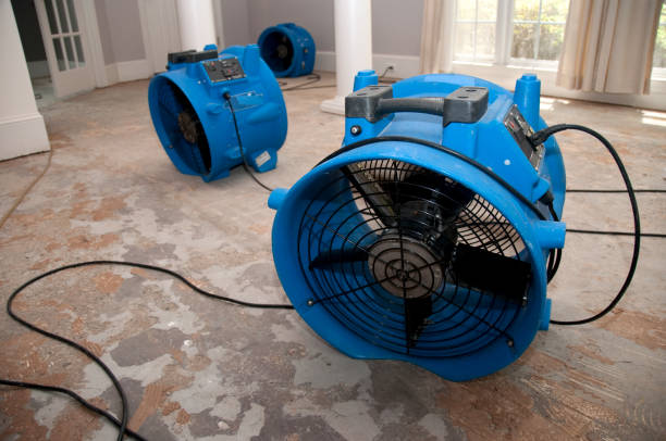 Best Flood restoration services  in Griggsvle, IL