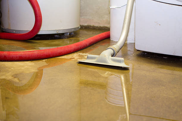 Best Water damage restoration cost  in Griggsvle, IL