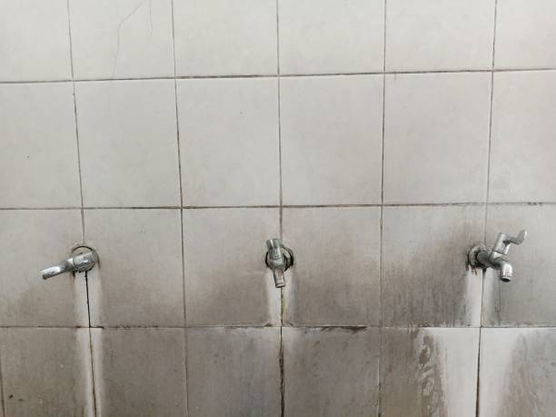 Best Water damage contractors near me  in Griggsvle, IL