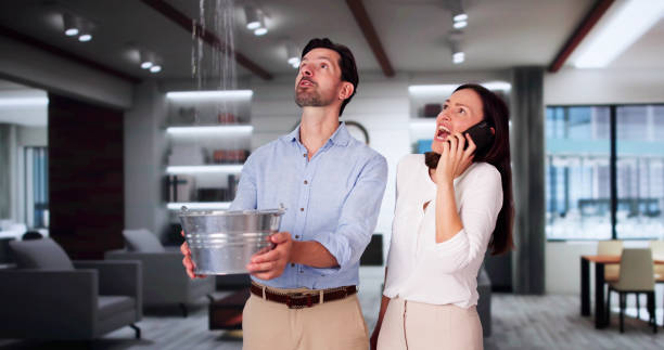 Best Flood restoration services  in Griggsvle, IL